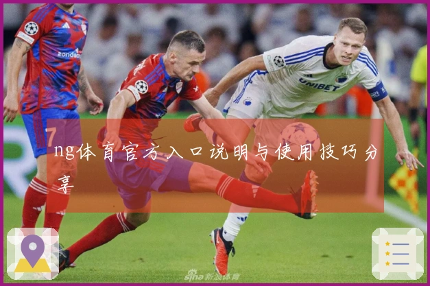 ng体育官方入口说明与使用技巧分享