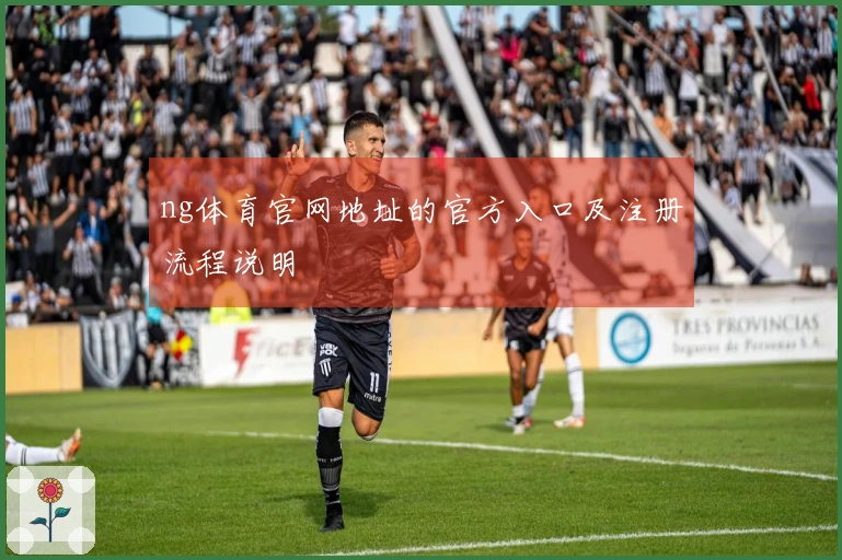 ng体育官网地址的官方入口及注册流程说明