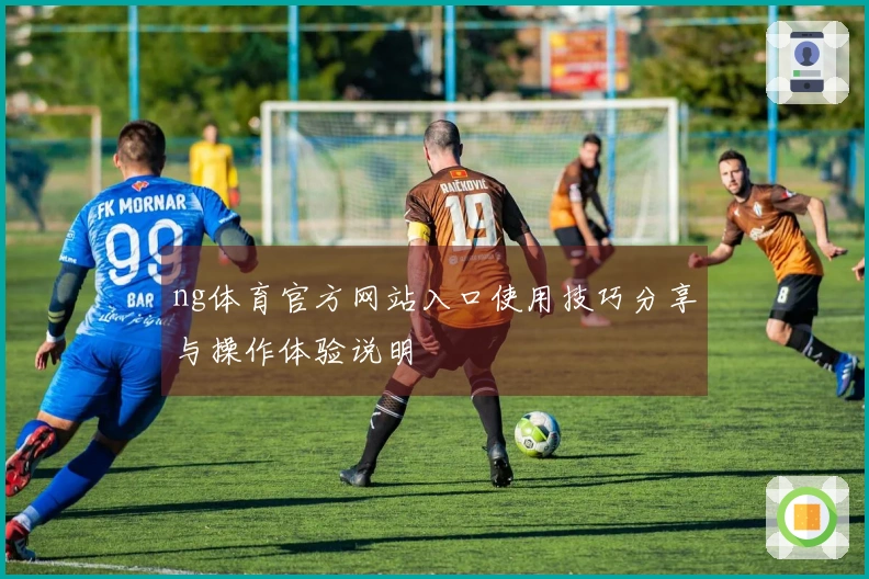 ng体育官方网站入口使用技巧分享与操作体验说明