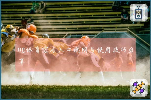 ng体育官方入口说明与使用技巧分享