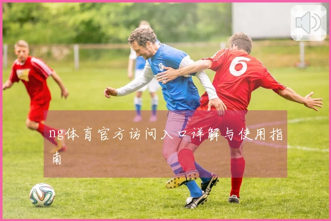 ng体育官方访问入口详解与使用指南