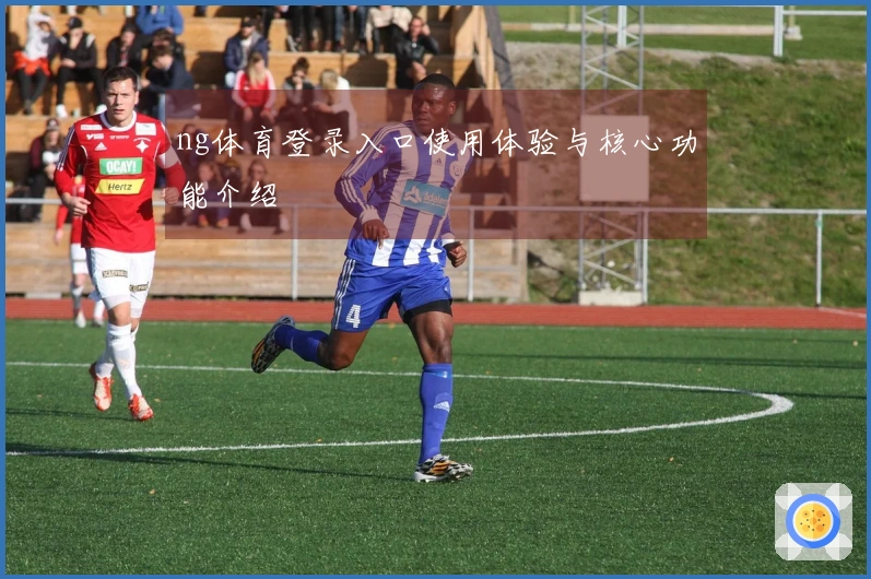 ng体育登录入口使用体验与核心功能介绍